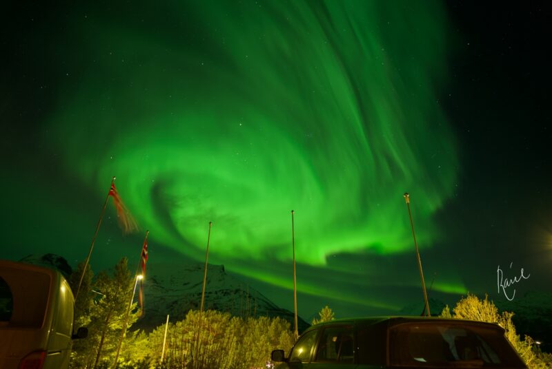 Une aurore boréale éclatante illuminant un paysage hivernal, avec une pleine lune visible à l'horizon.