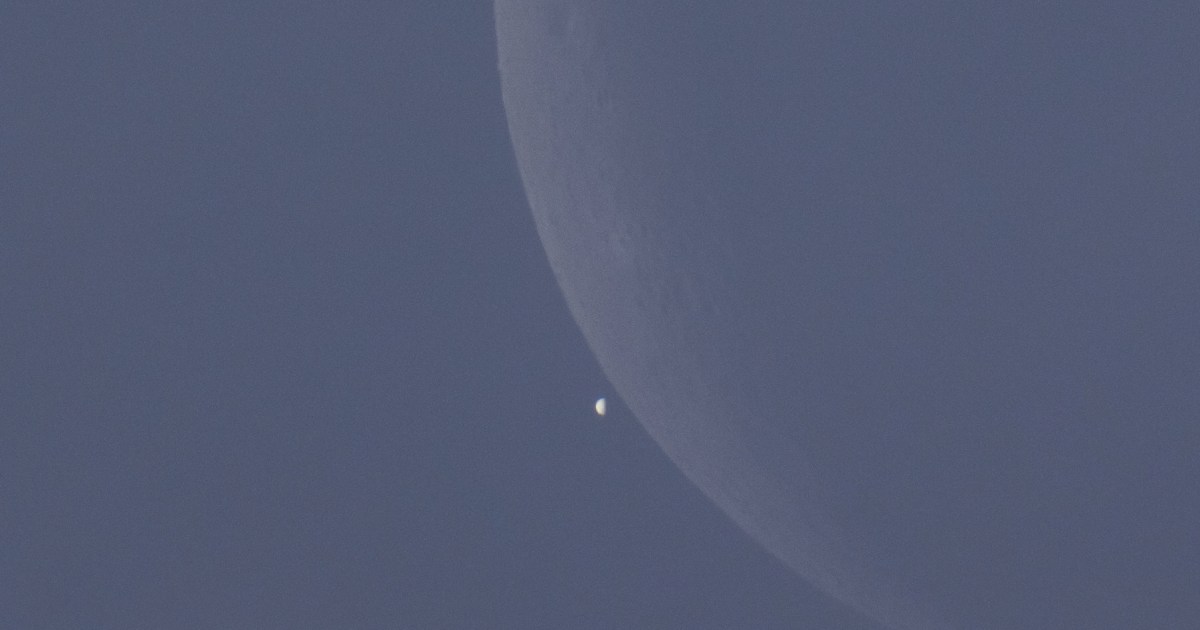 Occultation diurne de Vénus par la Lune : observations précises le 17 juin