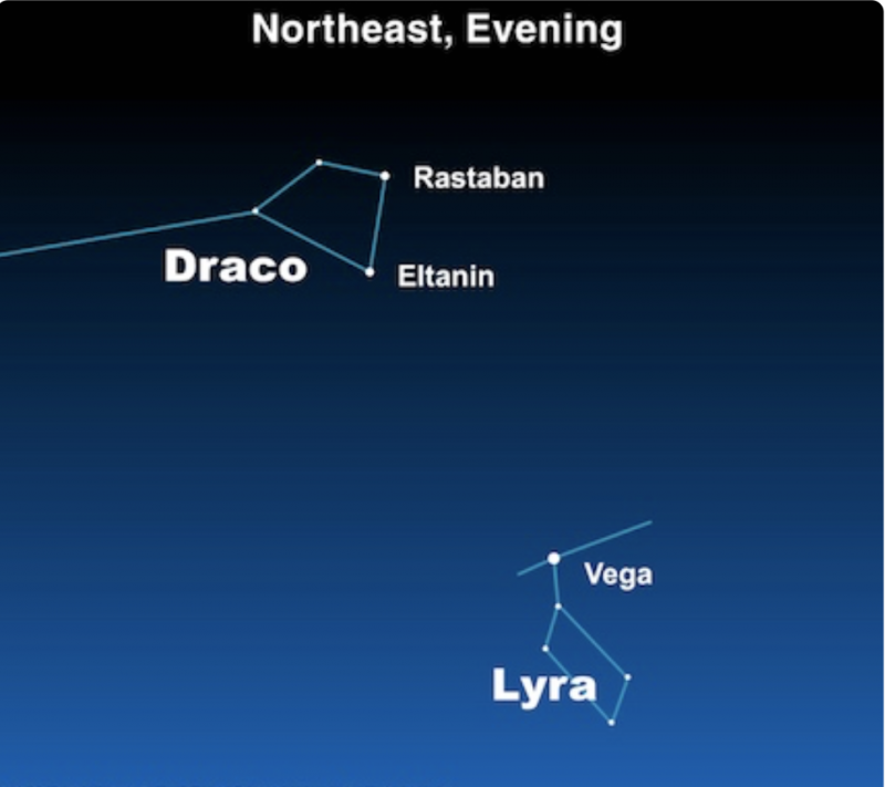 Observation : les étoiles Rastaban et Eltanin du Dragon en juin