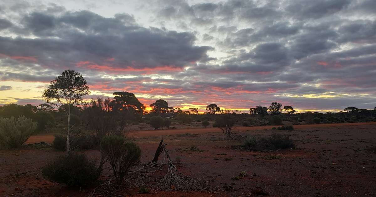 Australie : découverte d&rsquo;un cratère d&rsquo;impact de 4 km près de champs aurifères