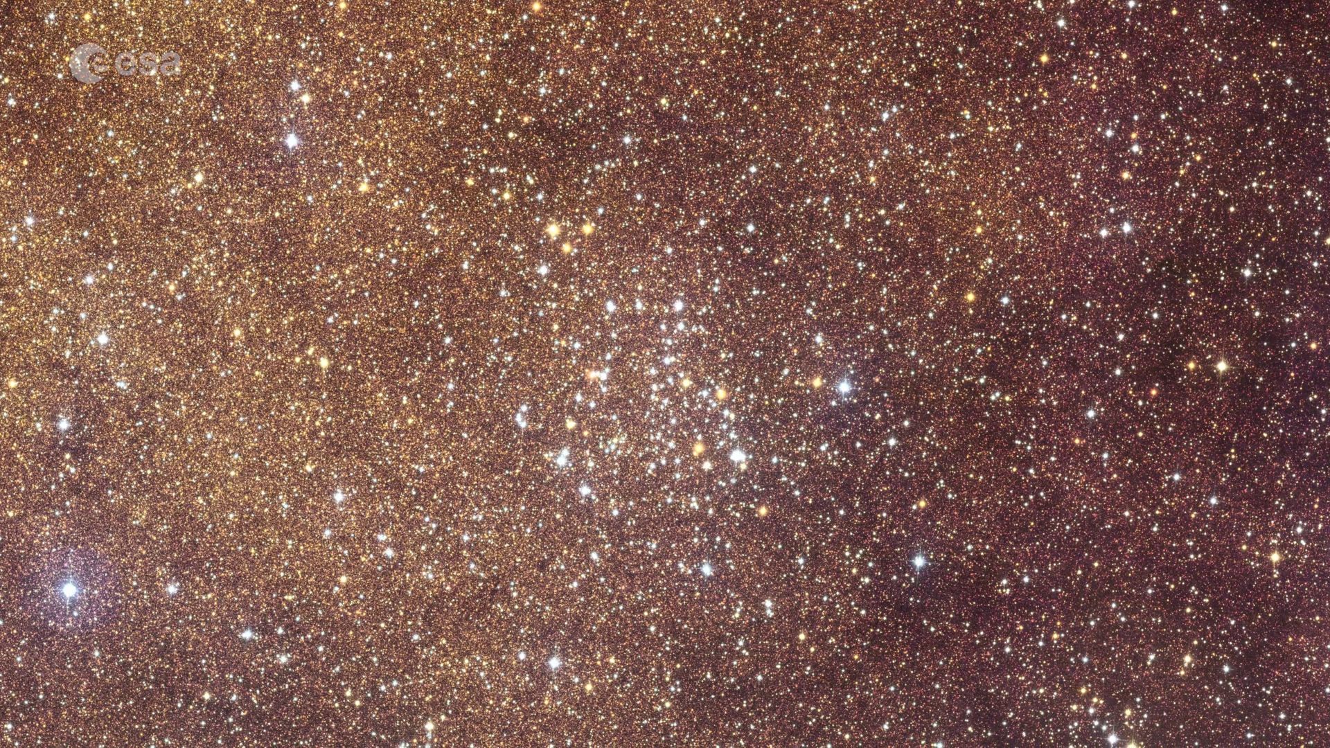 Euclid révèle des milliers de mondes cachés au centre de la Galaxie