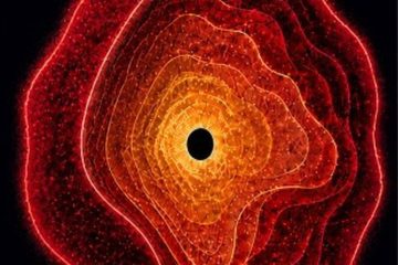 Le JWST révèle des &lsquo;étoiles à trou noir&rsquo; pour les points rouges cosmiques