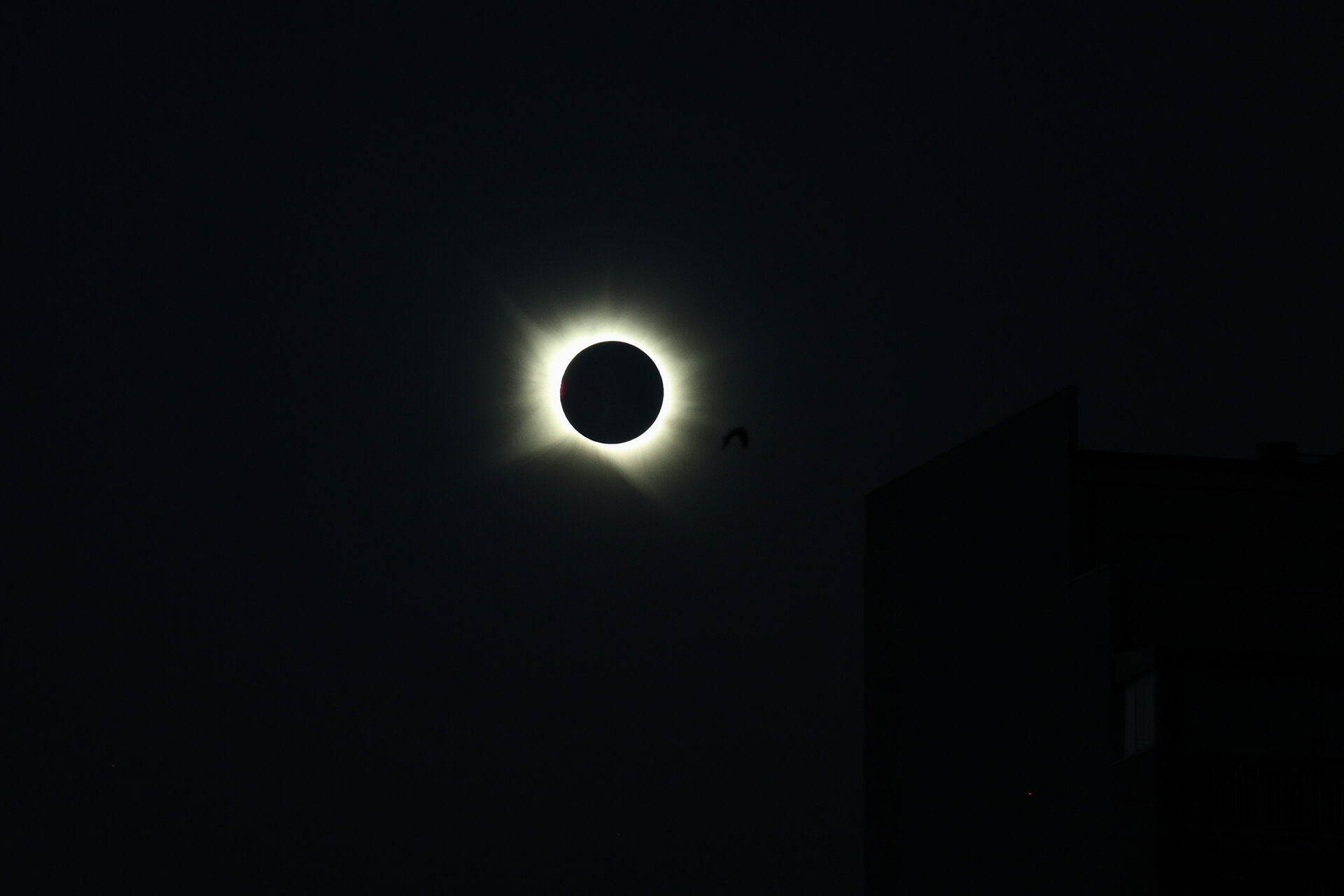 Détail des perles de Baily et de l'anneau de diamant lors de l'éclipse solaire de 2026