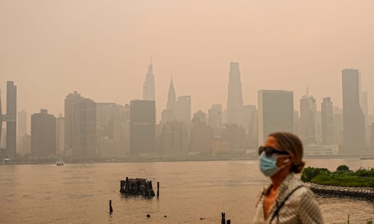 Incendies : la fumée dépasse la pollution industrielle comme menace prénatale