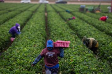 Le réchauffement climatique accentue les risques liés aux pesticides