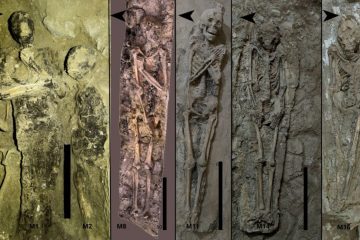 La tombe 209 de Thèbes documente l&rsquo;évolution des rites funéraires égyptiens