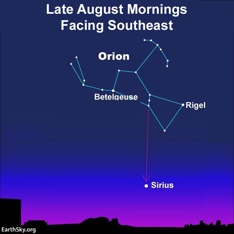 L&rsquo;aube révèle Sirius et Orion, marqueurs du changement saisonnier