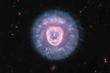 Le télescope Webb révèle la structure interne de la nébuleuse du Lion
