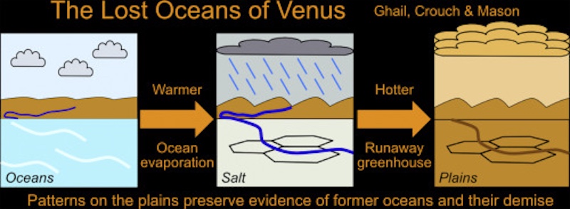 Gros plan sur des motifs de craquelures polygonales observés sur la surface de Vénus.
