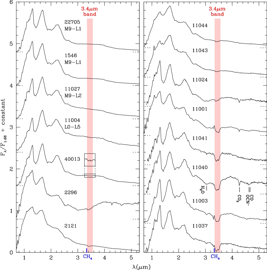 Spectres NIRSpec des candidats naines brunes identifiés par le JWST