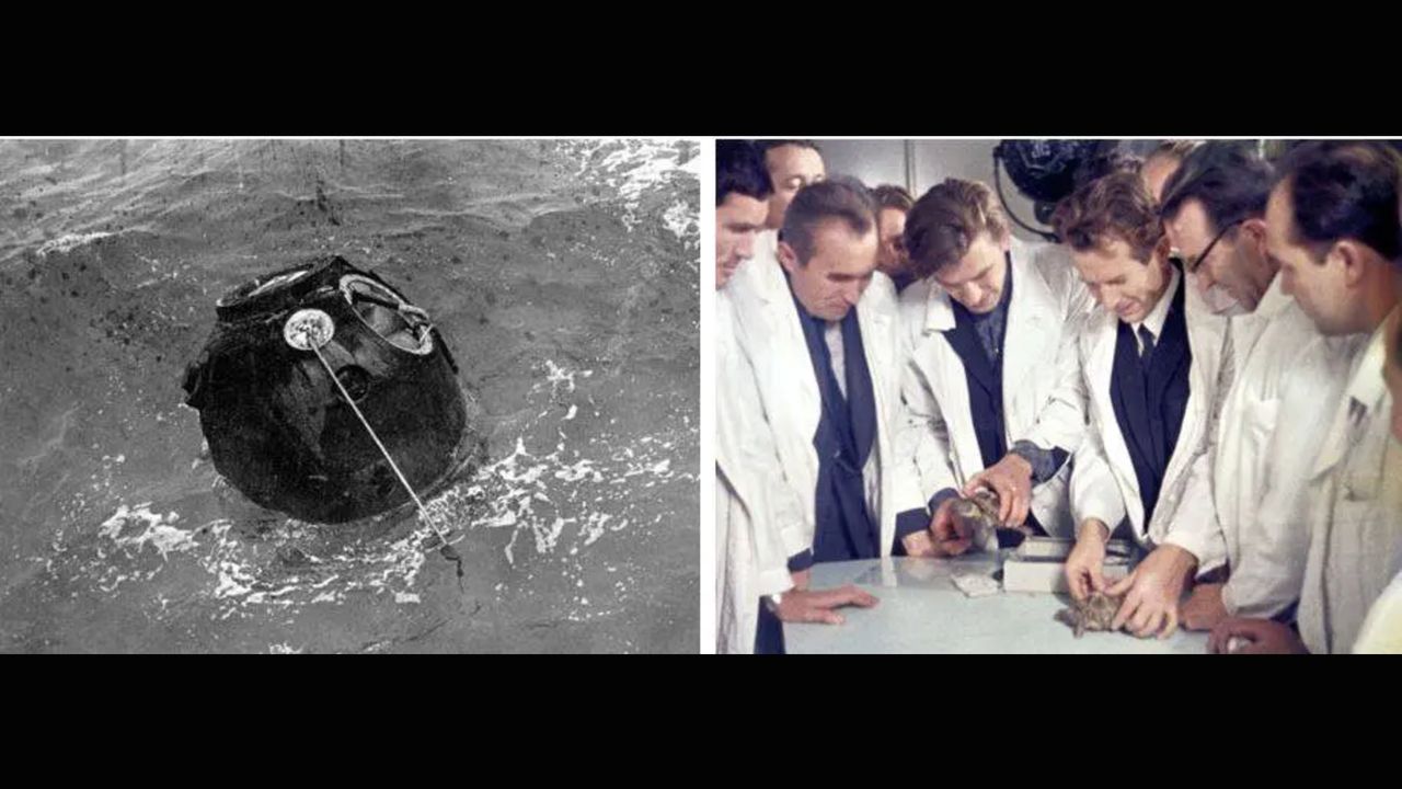 1968 : Zond 5 de l&rsquo;URSS effectue le premier vol circumlunaire animal